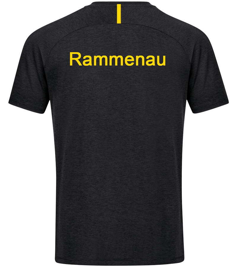Trainingsshirt Jako Challenge Herren SV Edelweiss Rammenau